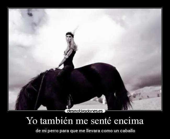 Yo también me senté encima - de mi perro para que me llevara como ... Yo también me senté encima - de mi perro para que me llevara como ...