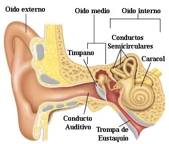 PROYECTO DE AULA GRADO 2º: Ciencias Naturales PROYECTO DE AULA GRADO 2º: Ciencias Naturales