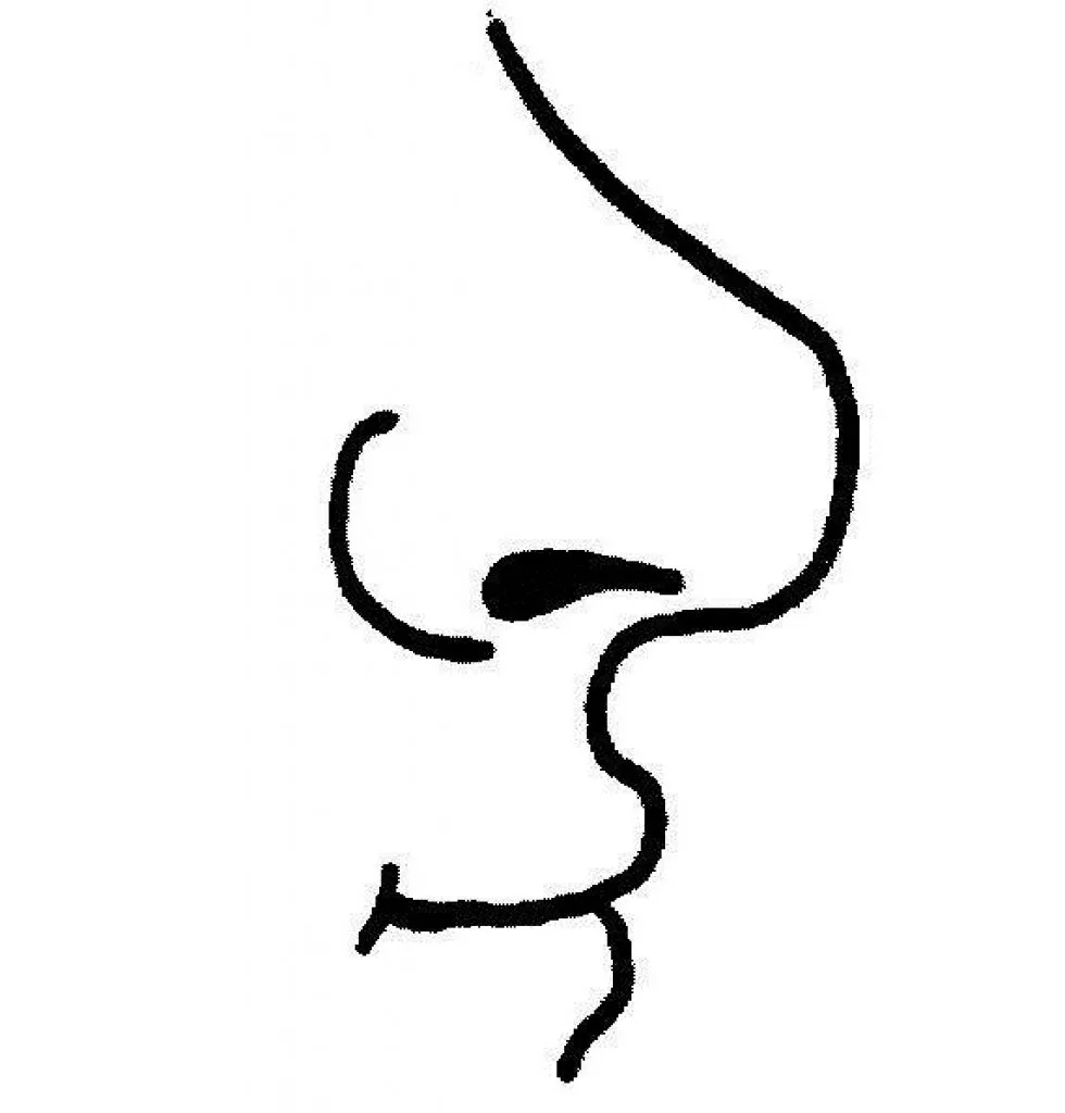 sentido del olfato para colorear - Clip Art Library sentido del olfato para colorear - Clip Art Library