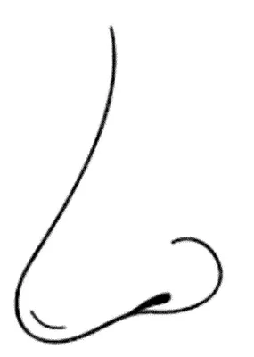 COLOREA TUS DIBUJOS: Nariz para colorear : Sentido del Olfato para ... COLOREA TUS DIBUJOS: Nariz para colorear : Sentido del Olfato para ...