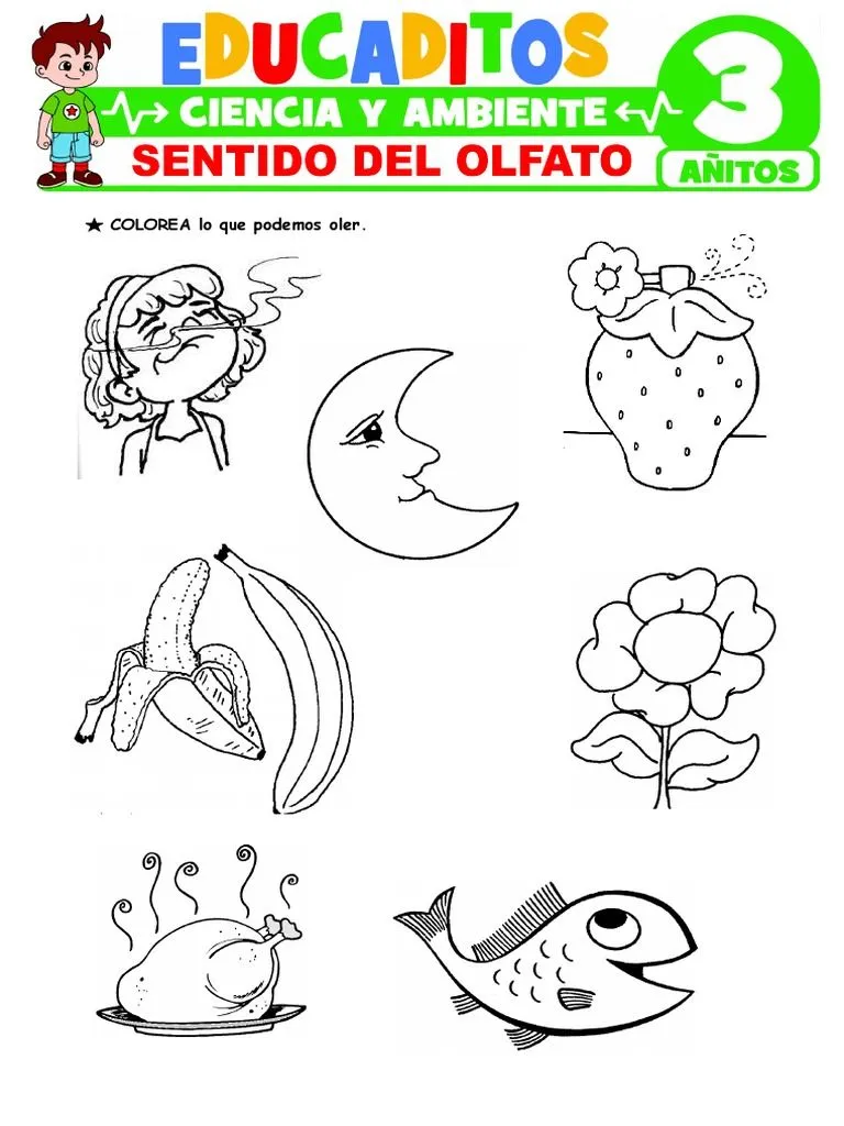 Sentido Del Olfato para Ninos de 3 Anos | PDF Sentido Del Olfato para Ninos de 3 Anos | PDF