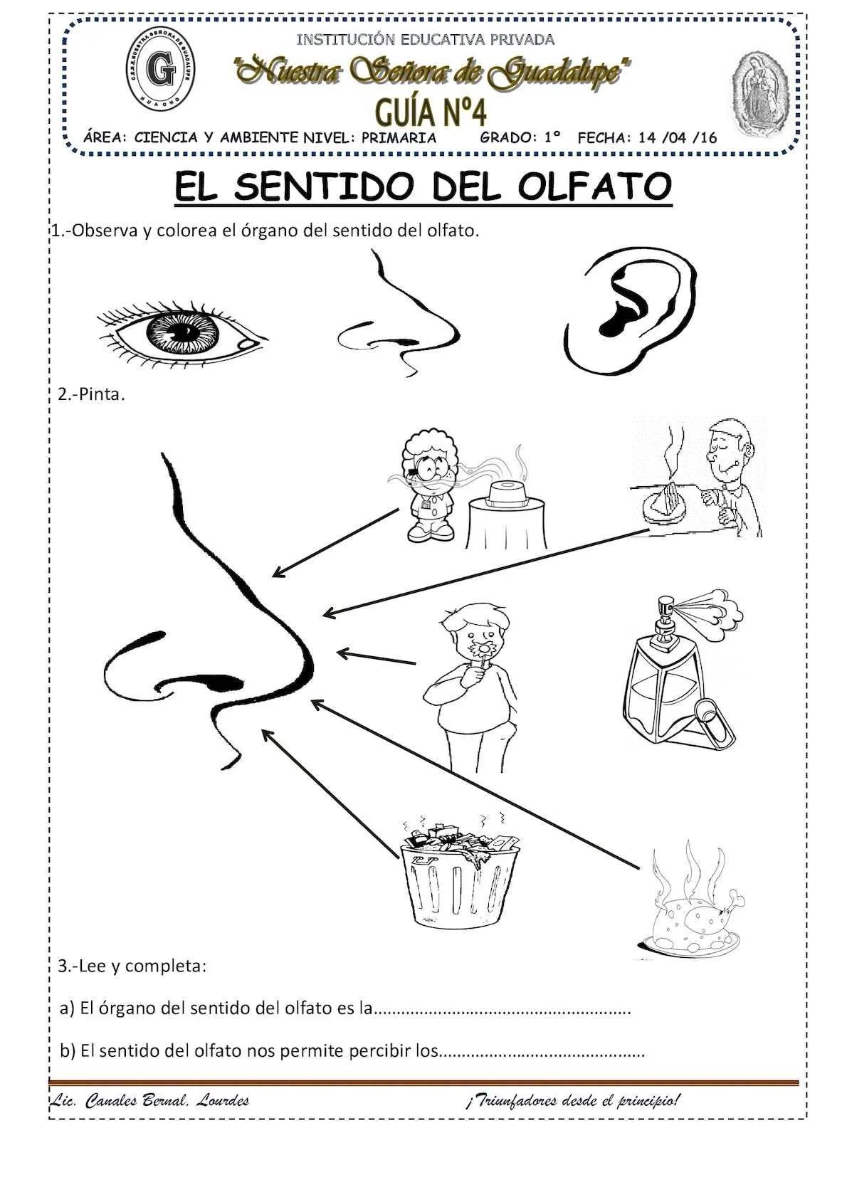 El Sentido Del Olfato | Olfato, Ejercicios de sustantivos, Lista de alumnos El Sentido Del Olfato | Olfato, Ejercicios de sustantivos, Lista de alumnos
