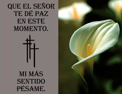 Postales De Pesame Gratis | TARJETA DE SENTIDO PESAME | TODO PARA ... Postales De Pesame Gratis | TARJETA DE SENTIDO PESAME | TODO PARA ...