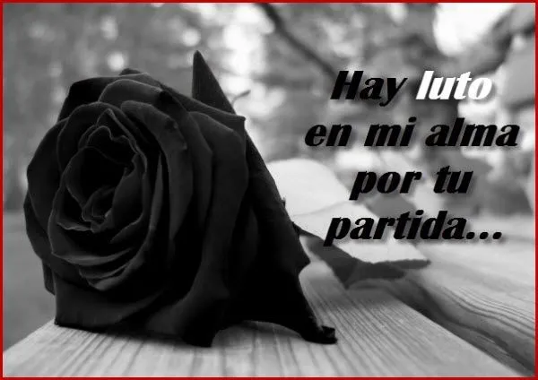 MIS MAS SENTIDO PESAME PARA MI FAMILIA POR EL FALLECIMIENTO DE MI ... MIS MAS SENTIDO PESAME PARA MI FAMILIA POR EL FALLECIMIENTO DE MI ...