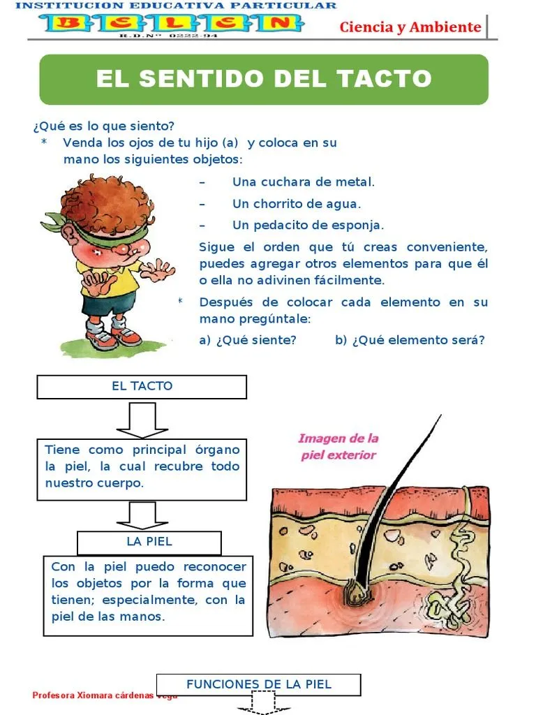 El Sentido Del Tacto Primaria | PDF | Piel | Naturaleza El Sentido Del Tacto Primaria | PDF | Piel | Naturaleza