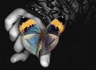 sentido de la vida « Filosofía para la Vida