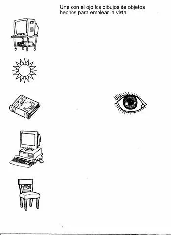 Activipeques: Los 5 sentidos