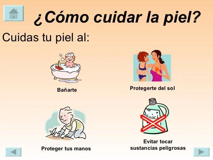 Los Cinco Sentidos Los Cinco Sentidos