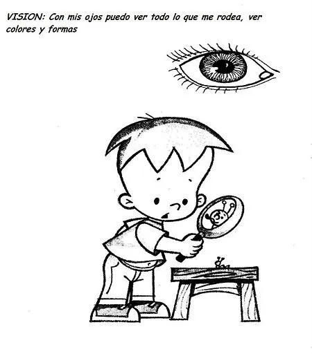 Los sentidos | Calielfreed Wharwood