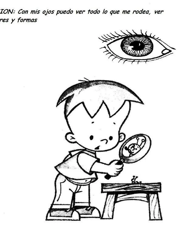 los sentidos: Dibujos para colorear