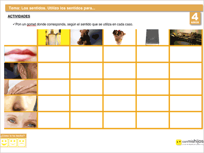 Para qué se usan los sentidos. Ejercicios del cuerpo humano