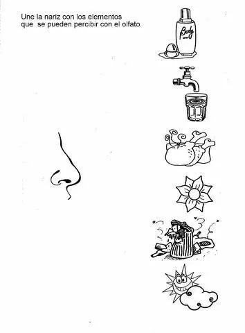 Los 5 sentidos | escuela | Pinterest