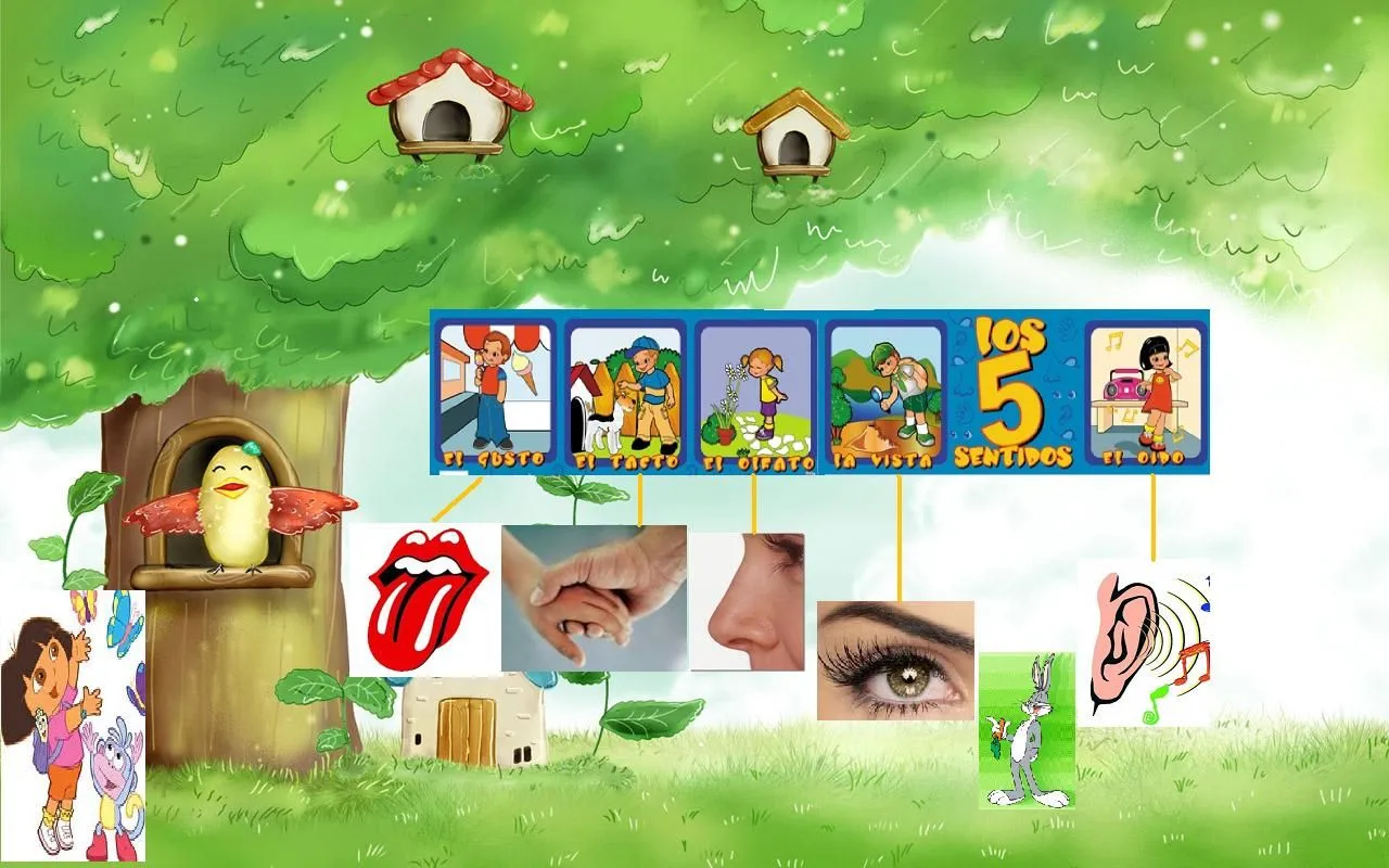 Los Sentidos y Sus Funciones” | miprimeraescuelita Los Sentidos y Sus Funciones” | miprimeraescuelita