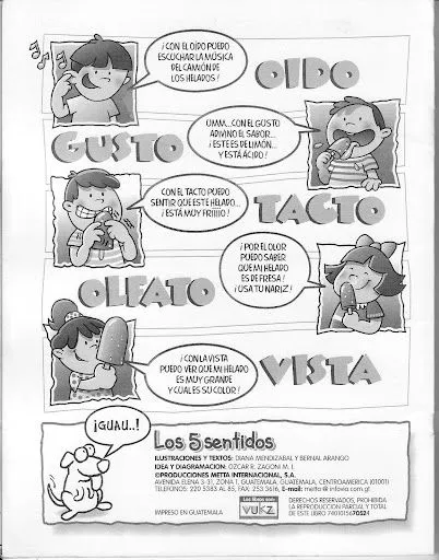 LOS CINCO SENTIDOS LAMINAS PARA PINTAR