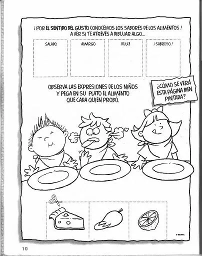 LOS CINCO SENTIDOS LAMINAS PARA PINTAR
