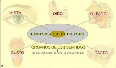 ENLACES EDUCATIVOS: LOS SENTIDOS
