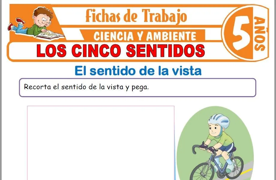 Los cinco sentidos para Niños de Cinco Años – Fichas de Trabajo Los cinco sentidos para Niños de Cinco Años – Fichas de Trabajo