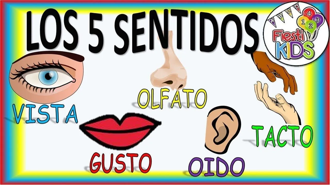 LOS 5 SENTIDOS PARA NIÑOS RENOVADO! THE FIVE SENSES FOR CHILDREN NEW! - YouTube LOS 5 SENTIDOS PARA NIÑOS RENOVADO! THE FIVE SENSES FOR CHILDREN NEW! - YouTube