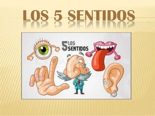 Los 5 sentidos quimica terminado