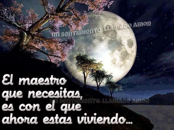 Un sentimiento llamado amoR | BUENAS FRASES | Pinterest