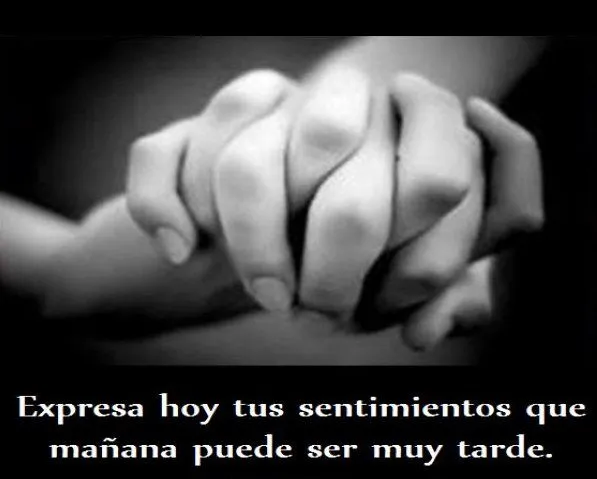LOS SENTIMIENTOS | Salud y Bienestar Feng Shui LOS SENTIMIENTOS | Salud y Bienestar Feng Shui