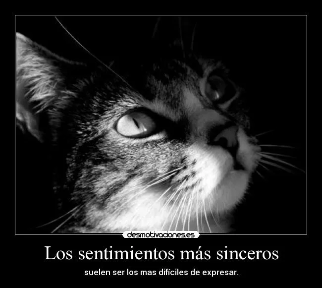 Los sentimientos más sinceros | Desmotivaciones