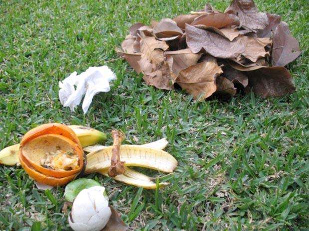 Cómo separar la basura? Apunta estos consejos prácticos - Terra México Cómo separar la basura? Apunta estos consejos prácticos - Terra México