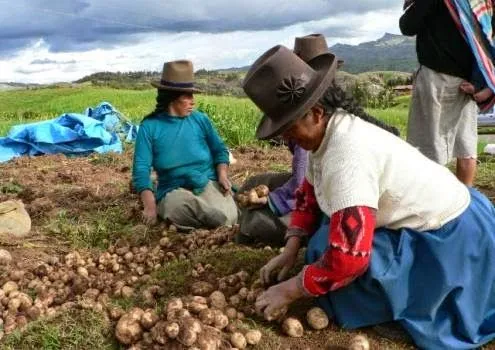 septiembre 2014 « INFOSENASA