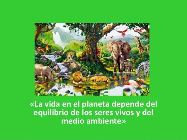 Seres bioticos y abioticos