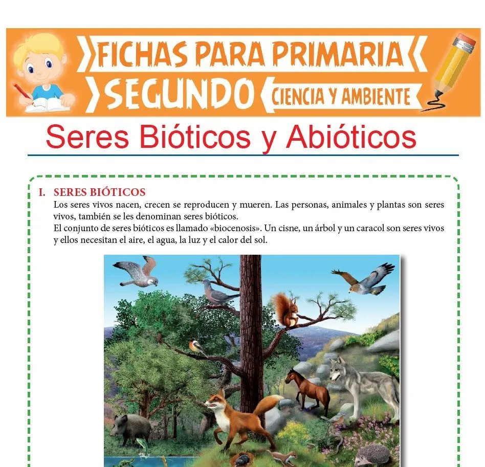 Seres Bióticos y Abióticos para Segundo de Primaria Seres Bióticos y Abióticos para Segundo de Primaria