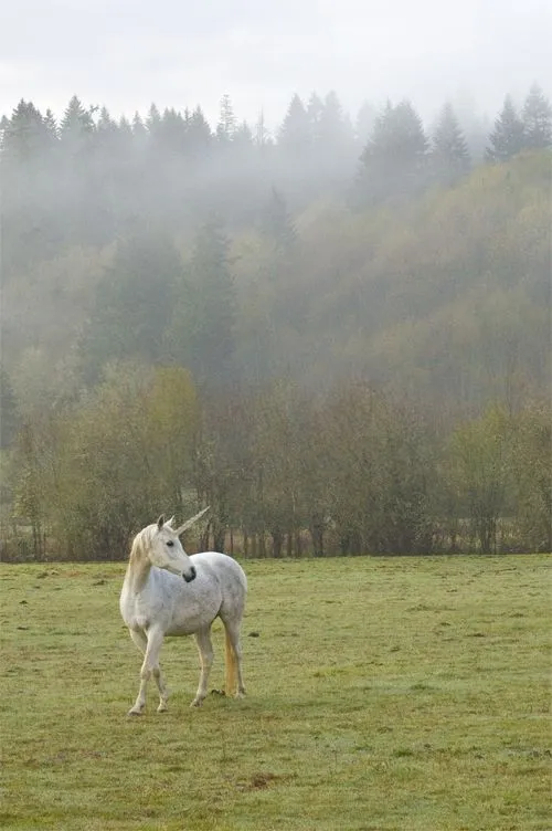 Seres fabulosos. El unicornio. – Misterios
