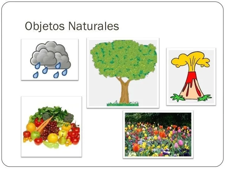 Seres de la Naturaleza - Mind Map