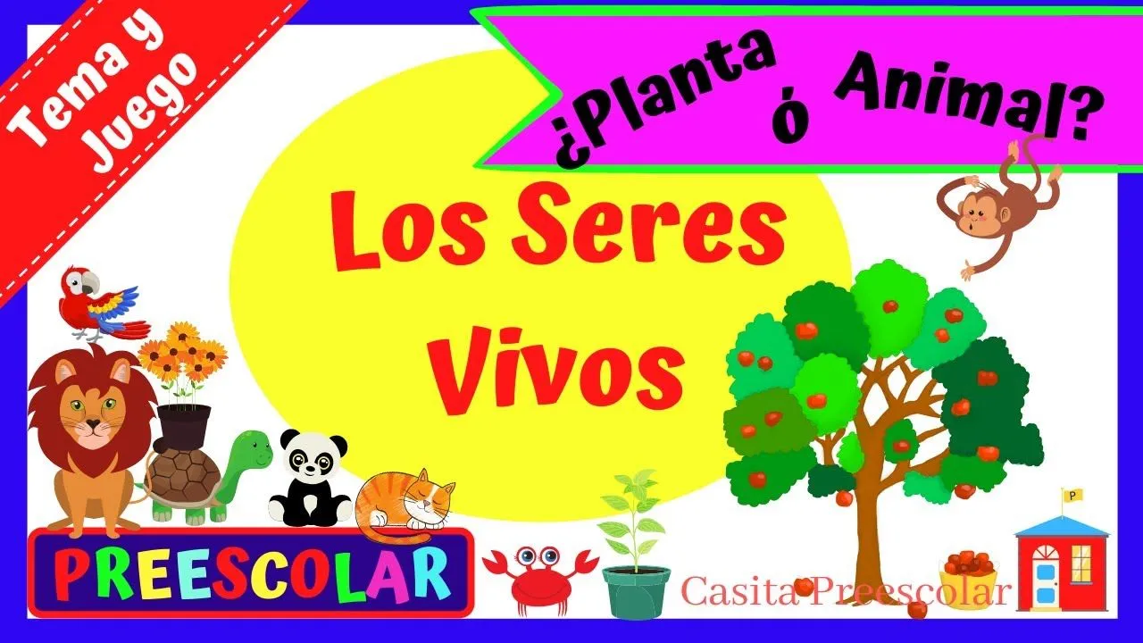 LOS SERES VIVOS #Aprendeencasa PREESCOLAR 3 de Septiembre del 2021 - YouTube