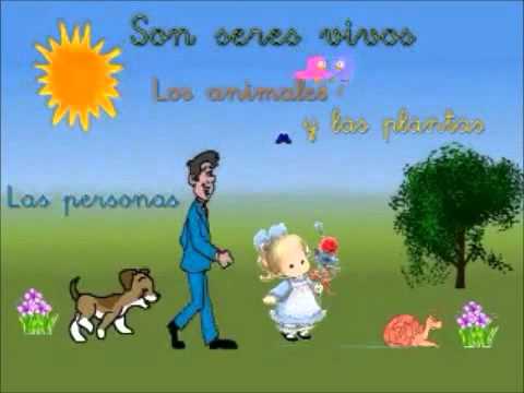 LOS SERES VIVOS DE MI ENTORNO - YouTube