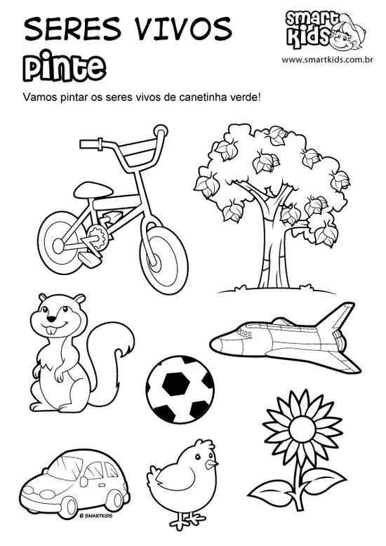 seres vivos e inertes