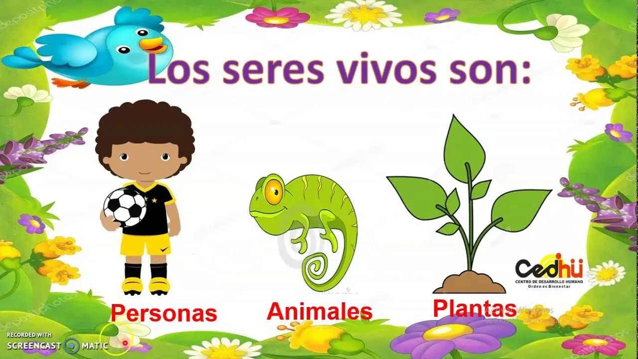 Seres vivos e inertes - YouTube