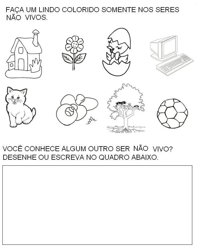 SERES VIVOS E NÃO VIVOS - 35 ATIVIDADES EXERCÍCIOS DESENHOS ...