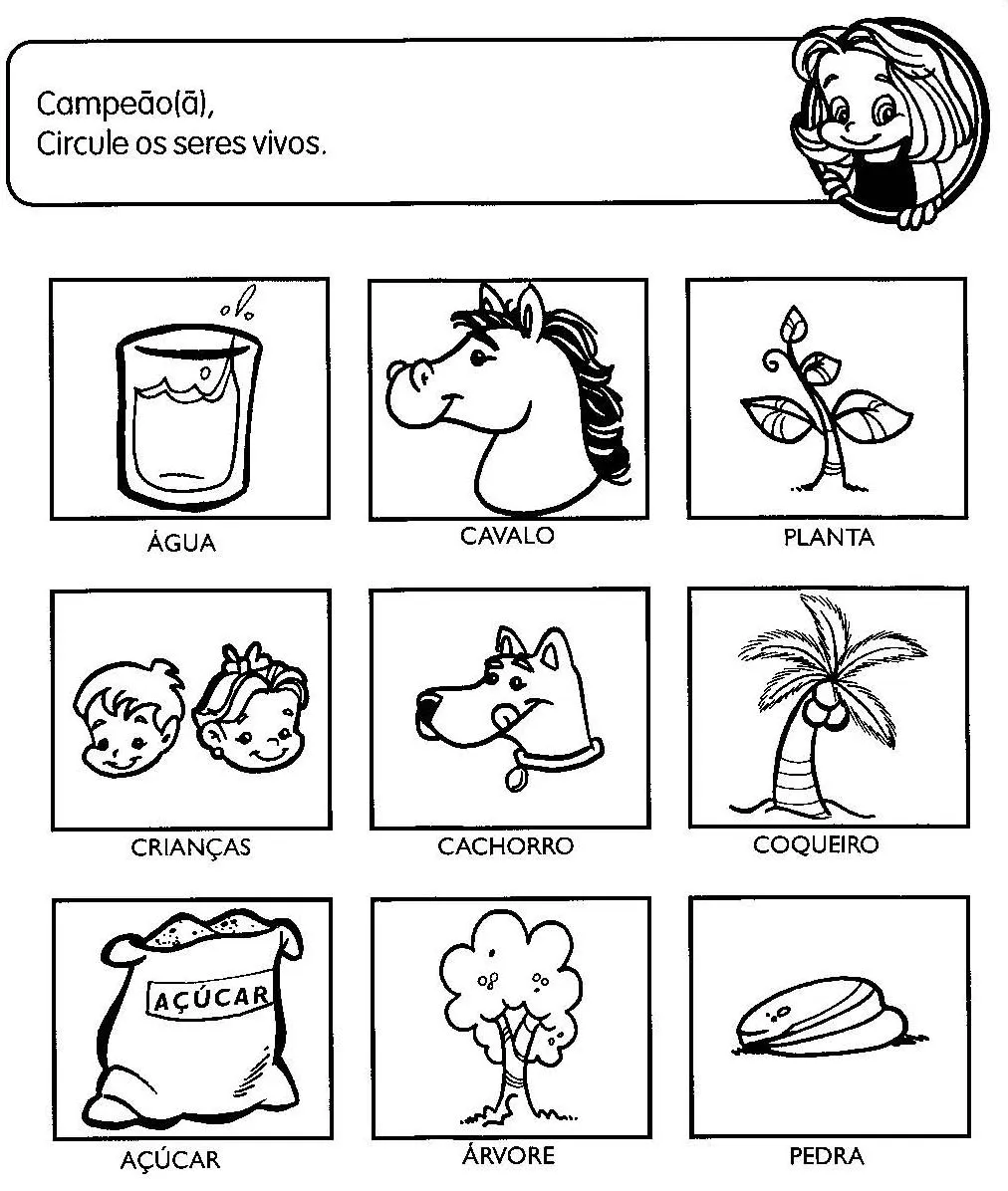 SERES VIVOS E NÃO VIVOS ATIVIDADES EXERCÍCIOS DESENHOS COLORIR ... SERES VIVOS E NÃO VIVOS ATIVIDADES EXERCÍCIOS DESENHOS COLORIR ...
