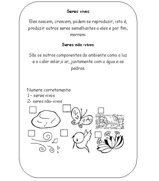 SERES VIVOS E NÃO VIVOS ATIVIDADES EXERCÍCIOS DESENHOS COLORIR ...