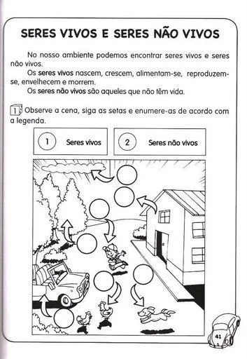 SERES VIVOS E NÃO VIVOS EXERCÍCIOS ATIVIDADES DESENHOS COLORIR ...
