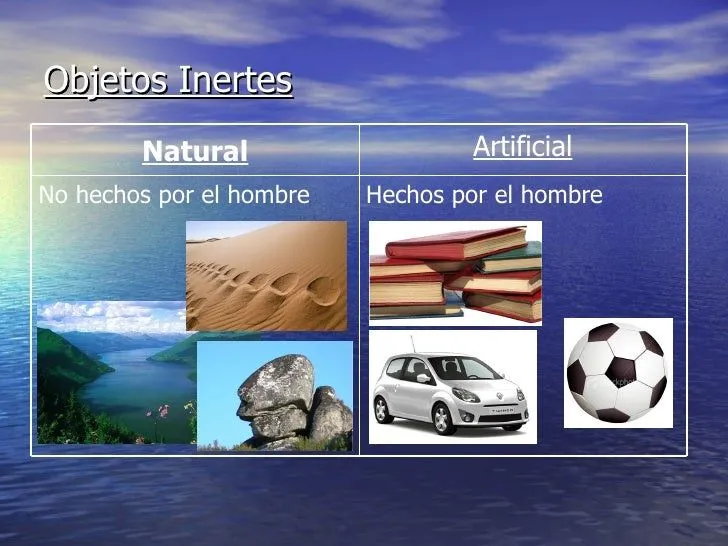 Seres vivos y objetos inertes