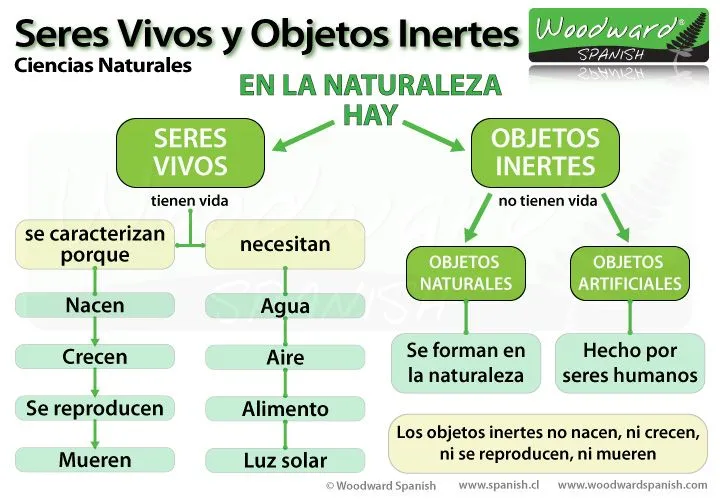 Seres Vivos y Objetos Inertes - Ciencias Naturales Seres Vivos y Objetos Inertes - Ciencias Naturales