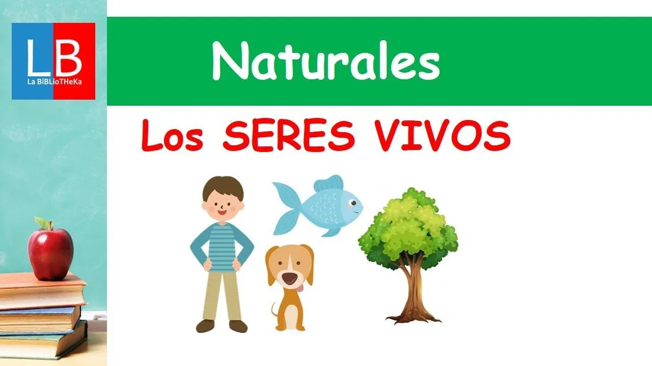 Seres VIVOS y Seres INERTES para niños ✓