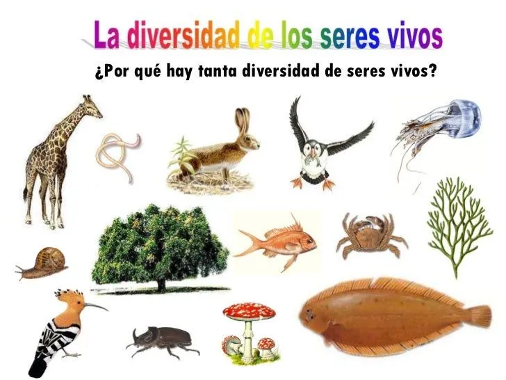 Los Seres Vivos (with images) · Claudia2 · Storify Los Seres Vivos (with images) · Claudia2 · Storify