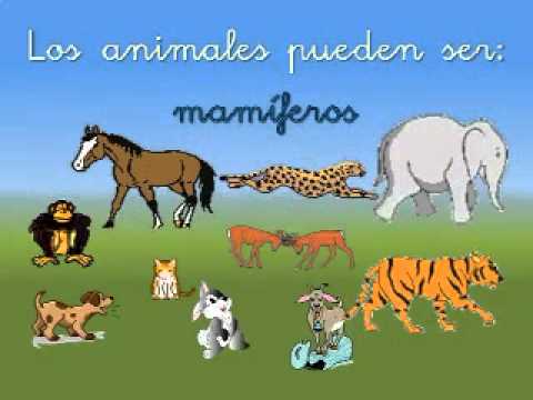 SERES VIVOS - YouTube