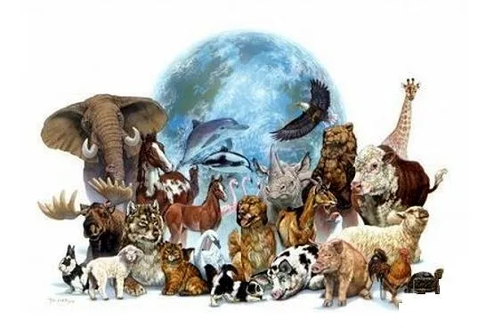 SERMÓN EN LEVÍTICO: ANIMALES PUROS E IMPUROS (BOSQUEJO Y AUDIO ... SERMÓN EN LEVÍTICO: ANIMALES PUROS E IMPUROS (BOSQUEJO Y AUDIO ...
