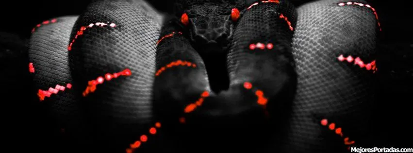 Serpiente Negra Ojos Rojos - ÷ Las Mejores Portadas para tu perfil ... Serpiente Negra Ojos Rojos - ÷ Las Mejores Portadas para tu perfil ...