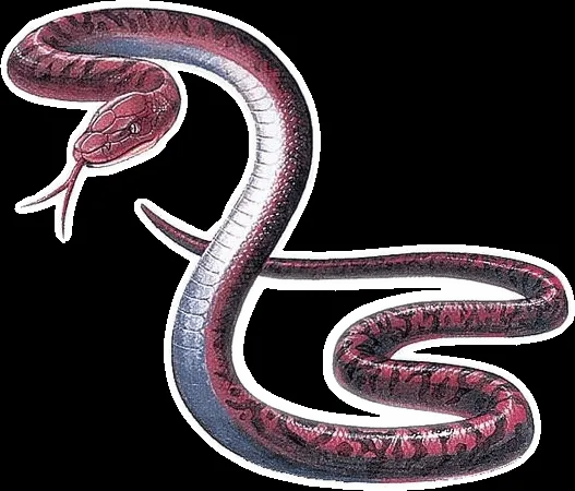 serpiente | Pandemonium