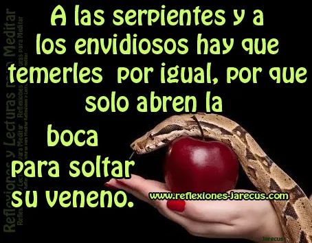 A las serpientes y envidiosos | Reflexiones y Lecturas para Meditar A las serpientes y envidiosos | Reflexiones y Lecturas para Meditar