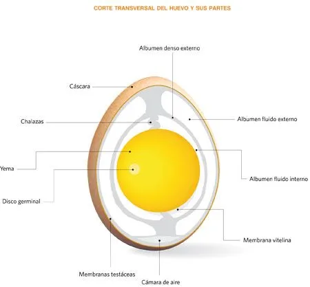 Servicio de Alimentos y Bebidas I | Gastronomía UMB Servicio de Alimentos y Bebidas I | Gastronomía UMB